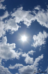 This sunny shot was taken last week during a surface inte... by Steven Anderson 